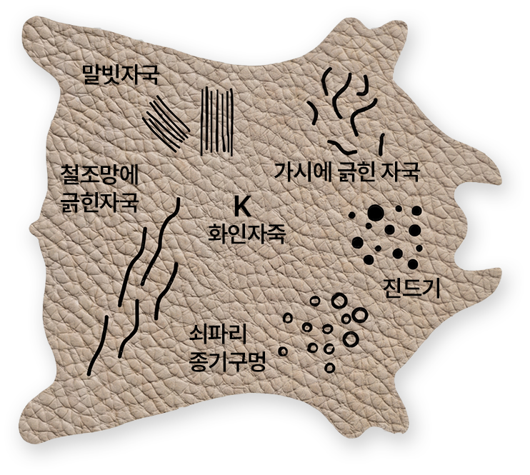 천연가죽의 긁힌 자국, 철조망과 가시에 긁힌 자국, 화인자국, 쇠파리 통기구멍, 진드기 흔적 안내