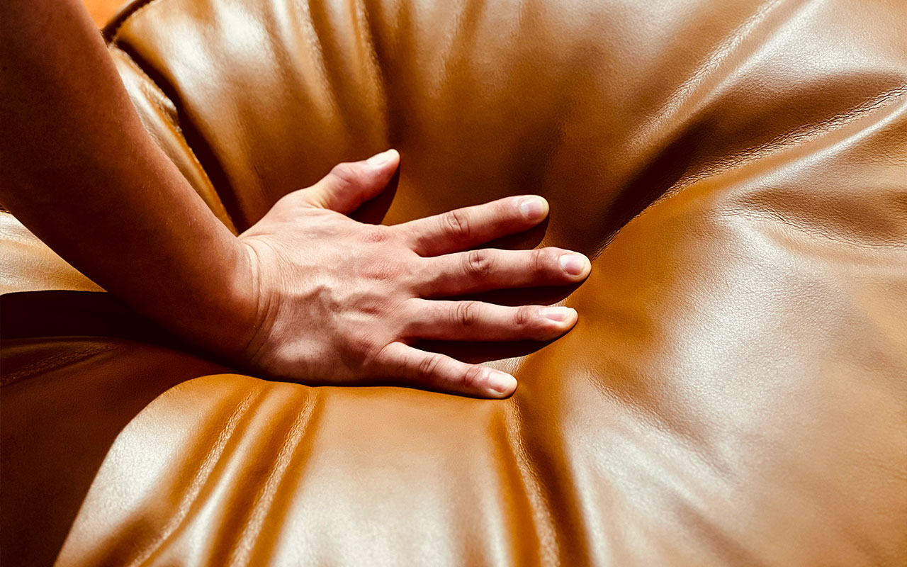 Pillowtalk Sofa Side View